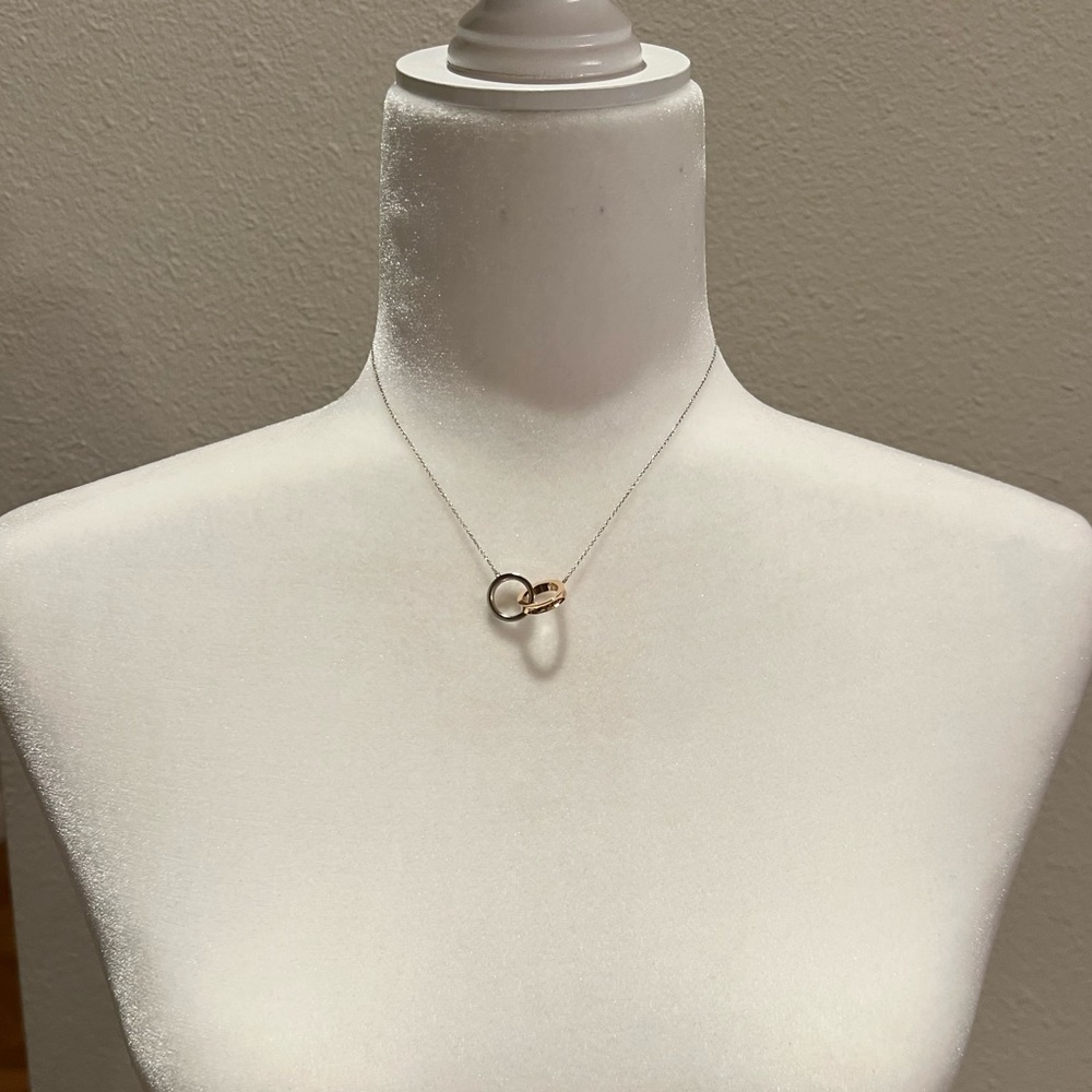 Tiffany & Co Interlocking Circles Pendant